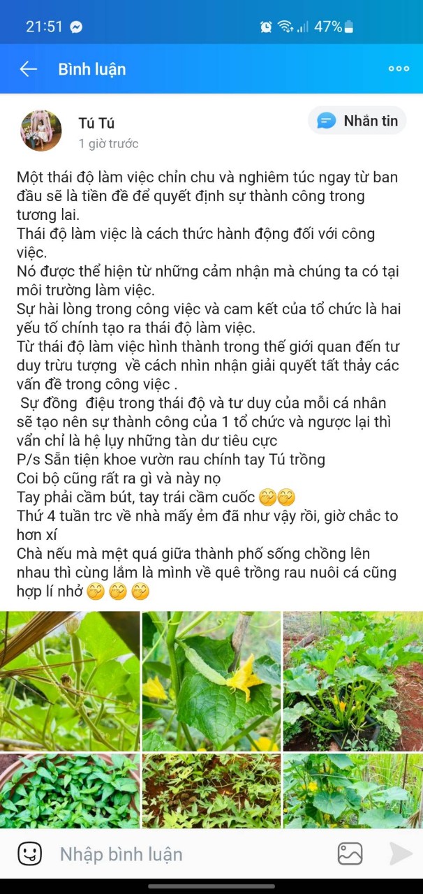 Thái độ nghiêm túc trong công việc từ ban đầu