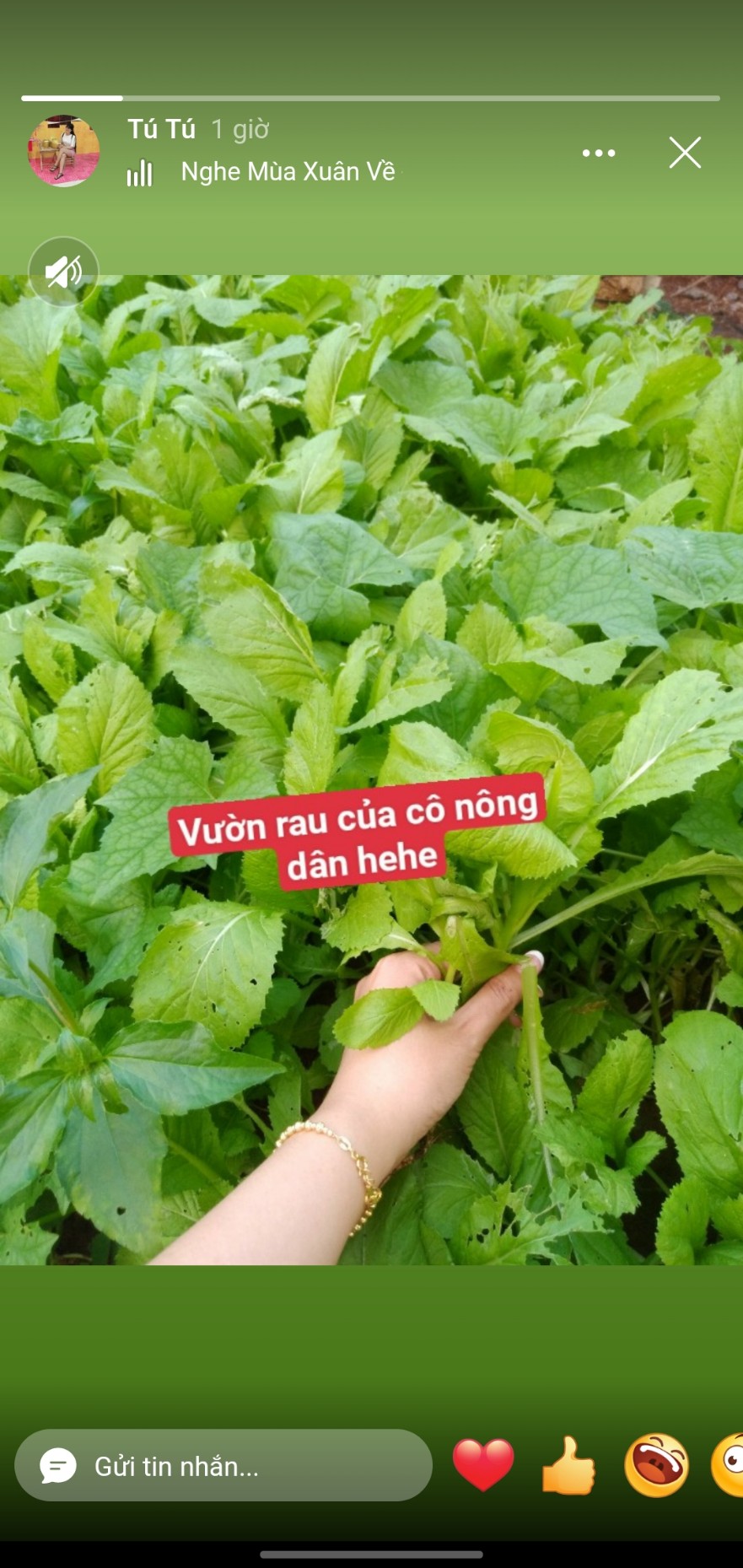 Vườn rau của cô nông dân hehe