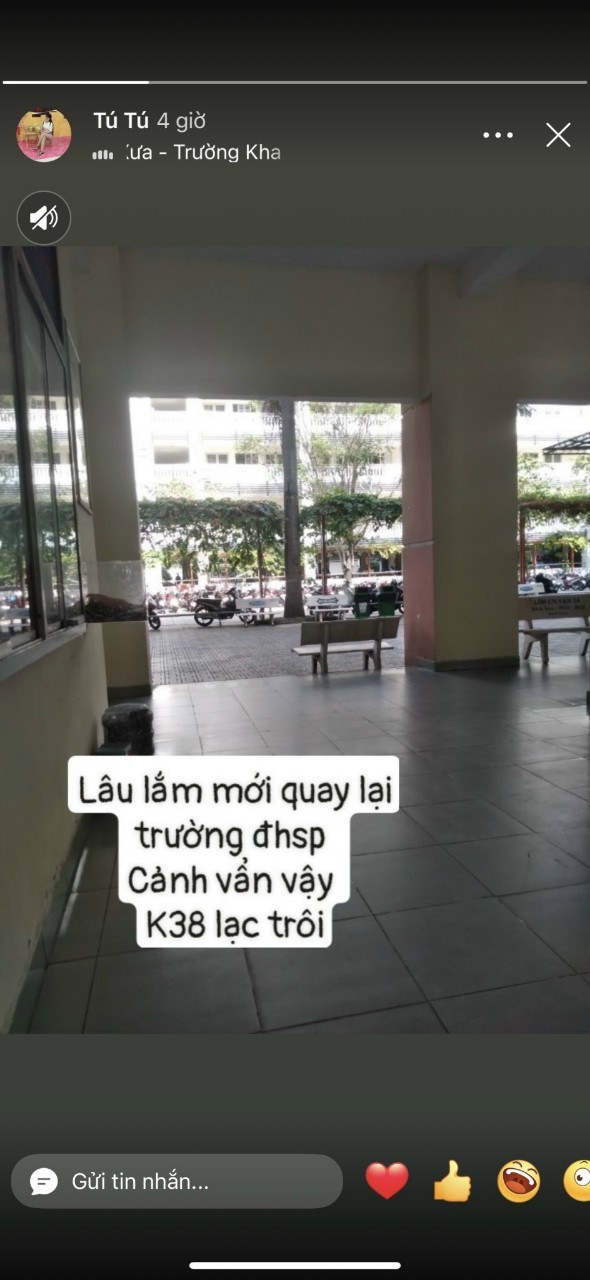 Lâu lắm mới quay lại trường ĐHSP