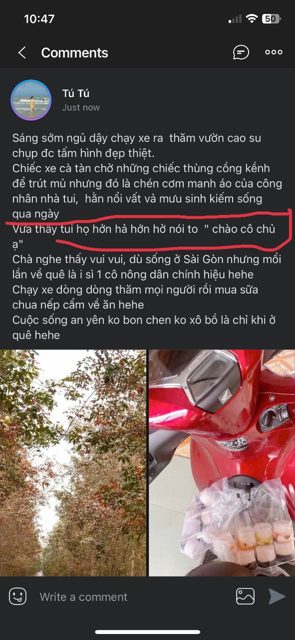 Chào cô chủ nhỏ Tú Tú ạ