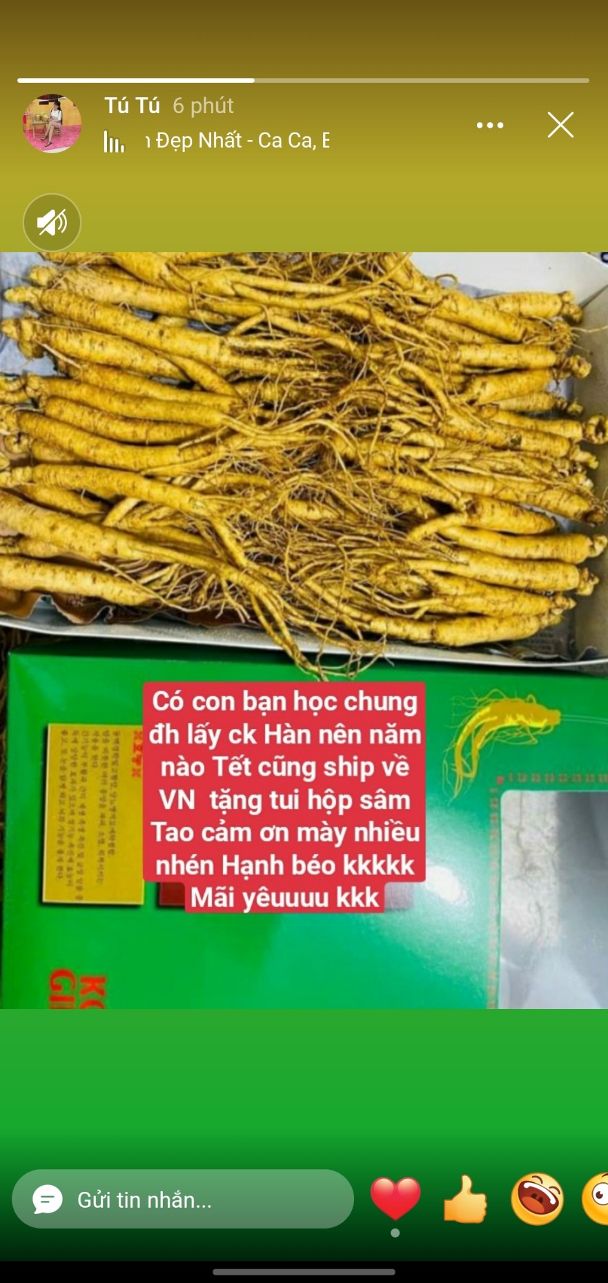 Con bạn học chung đh tặng sâm hàn quốc